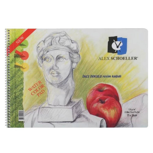 ALEX SCHOELLER INCE DOKULU RESIM KAGIDI 15 YP. 25X35CM - 826