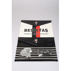 BEŞİKTAŞ ÇIT ÇITLI DOSYA DOS-1903
